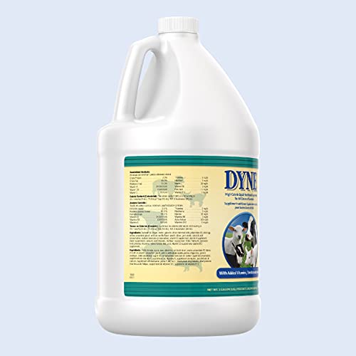  PetAg Dyne High-Calorie Liquid Nutritional Supplement For Livestock - Provides Energy And Extra Nutrition - Contains Soybean Oil & Vitamins - 128 Fl Oz (1 Gal)
