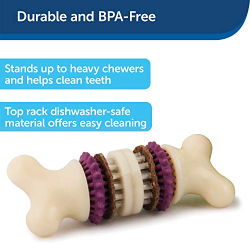  PetSafe Treat Rings - 16 Rings - Size B - Original & Busy Buddy Bristle Bone - Treat-Holding Toy For Dogs - Purple, Large