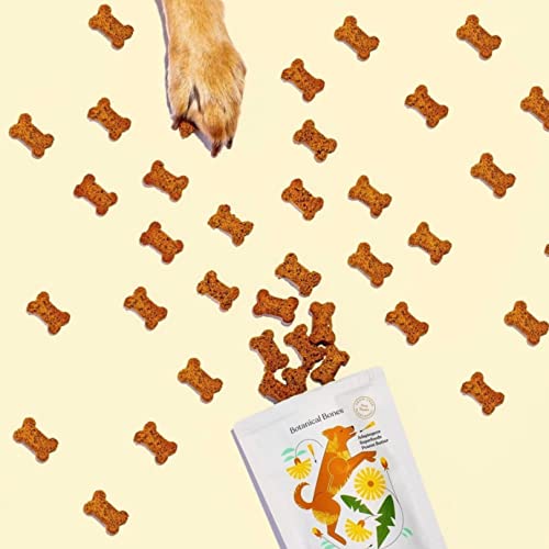  BOTANICAL BONES | Inner Glow Superfood Dog Treats | Plant-Based Limited Ingredient Crunchy Peanut Butter Cookies | Sustainable Natural Clean Label | Made In USA (3.5oz)
