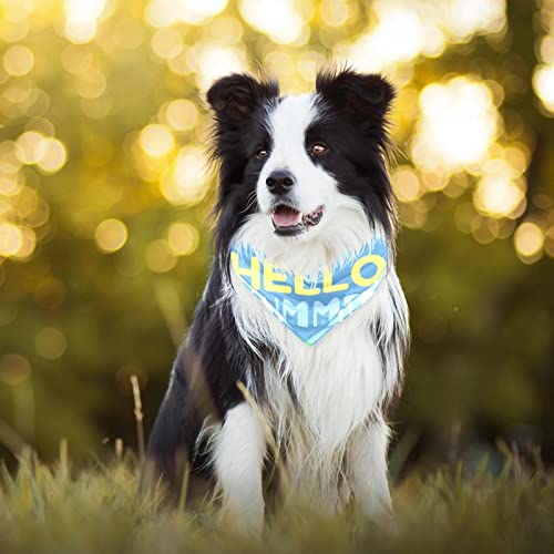  2 Pack Adjustable Dog Bandana,Soft Washable Triangle Bib Hello Summer Cute Food Ice Cream Pineapple Kerchief Scarfs For Small Medium Large Dogs And Cats