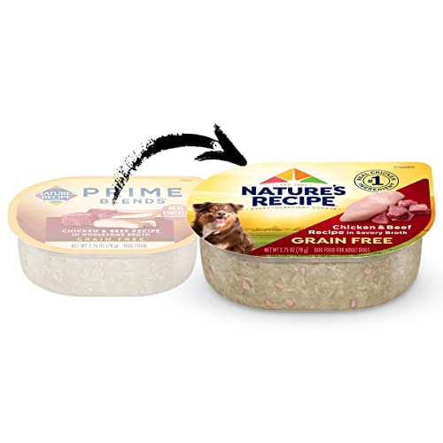  Nature's Recipe Grain Free Wet Dog Food, Chicken & Beef Recipe, 2.75 Ounce Cup (Pack Of 12)