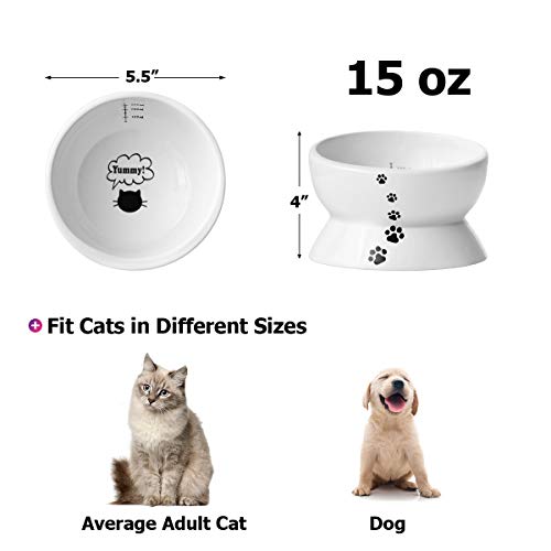  Y YHY Elevated Cat Food Bowl, Raised Pet Food And Water Bowl, Cat And Small Dog Bowl, Tilted Ceramic Cat Water Bowl No Spill,15oz, Dishwasher Safe