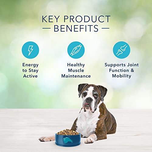  Blue Buffalo Freedom Grain Free Natural Senior Dry Dog Food, Chicken 24-lb