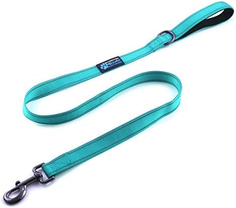  Max And Neo Reflective Nylon Dog Leash - We Donate A Leash To A Dog Rescue For Every Leash Sold (Purple, 4x1)