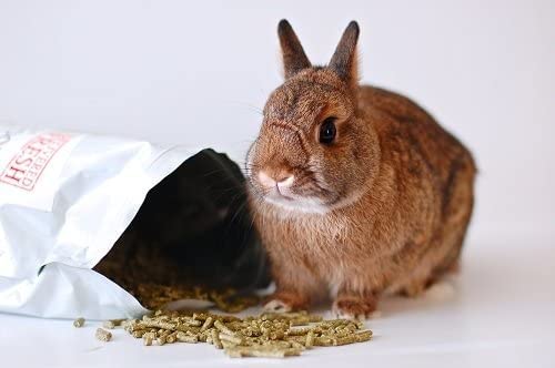  Small Pet Select Rabbit Food Pellets - 5 Pounds Delivered Fresh