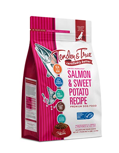  Tender & True Salmon & Sweet Potato Recipe Dog Food, 51030