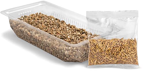  Vitakraft Cat Grass 120g