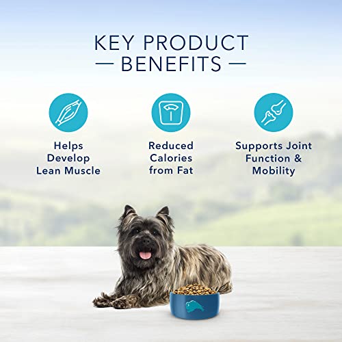  Blue Buffalo Life Protection Formula Natural Adult Small Breed Healthy Weight Dry Dog Food, Chicken And Brown Rice 5-lb Trial Size Bag