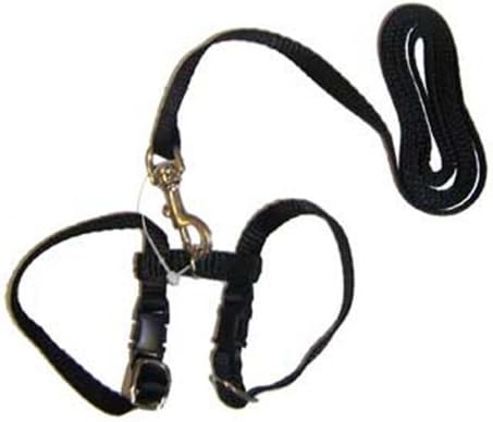  MARSHALL PET Products 572018 Ferret Harness & Lead Purple, 48 In