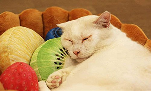  S-Lifeeling Pet Tart Bed Cushion Detachable Soft Fuzzy Cat Bed Winter Plush Lovely Tart Warm Nest Kennel Comfortable Extended Dog Mat Pad