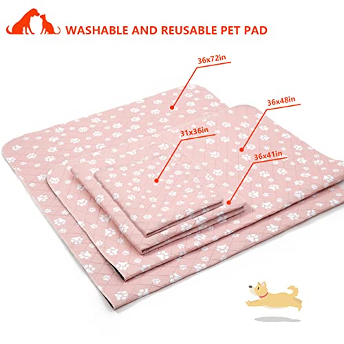  Dog Pee Pad-3641-Pink And Dog Pee Pad-3672-Orange