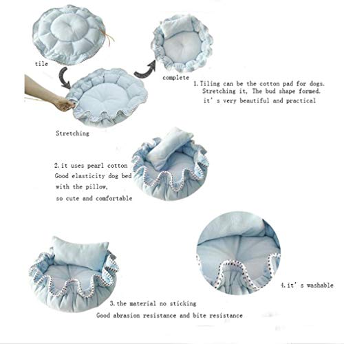  SENERY Cotton Pet Bed For Small Dogs Animals Cats House Cushion Round Pumpkin Kennel Dog Mat Pet Products