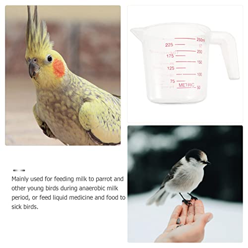  Clear Kettle 6 Pcs For Cups Milk Free Spout Food Feeder Bpa And Scale Pet Grip Handle Kitchen Cats Cooking With Jug Dogs Use Tool Bird Feeding Home Scoop Baking Measuring Plastic