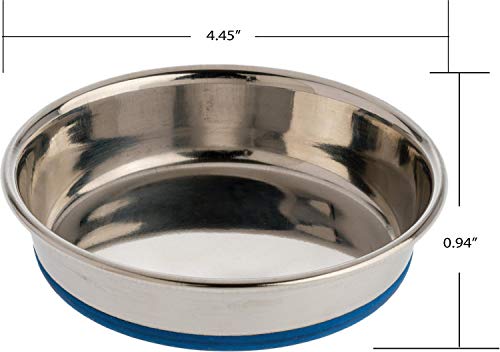  DuraPet 2 Pack Of Cat Dishes, 0.75 Cup Dry Food Capacity Each, Premium Rubber-Bonded Stainless Steel