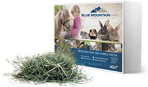  Blue Mountain High Altitude Timothy Hay (5 LB) Rabbits, Guinea Pigs | Bunny Rabbit, Hamster, Chinchilla & Gerbil Feed | Similar To Alfalfa Cubes, Orchard Grass Hay