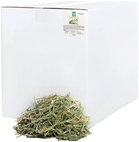  Small Pet Select 1st Cut Timothy Hay Pet Food For Rabbits, Guinea Pigs, And Other Small Animals, Easy To Store Box, 20 LB