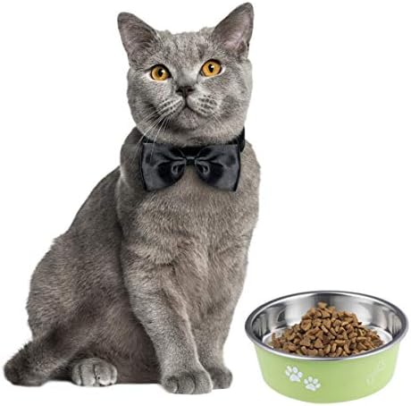  POPETPOP Dog Cat Feeding Dish Puppy Feeder Dog Food Bowl - Stainless Steel Bowl Feeding Bowl - Round Anti- Water&Food Dispencer For Puppy Cat And Kitten Puzzle Metal Dog Food Feeder