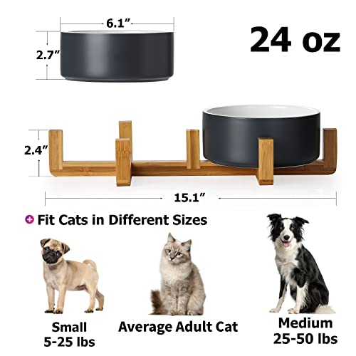 Y YHY 40oz Cat Treat Cookie Jar & 24oz Ceramic Dog And Cat Bowl Set
