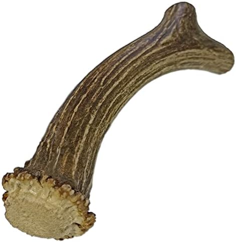  WhiteTail Naturals | Premium Deer Antlers For Dogs (Large) | All Natural Antler Dog Chew | Naturally Shed, Long Lasting Chew Bone, Made In USA (Large (Best For Dogs 40-60 Lbs))