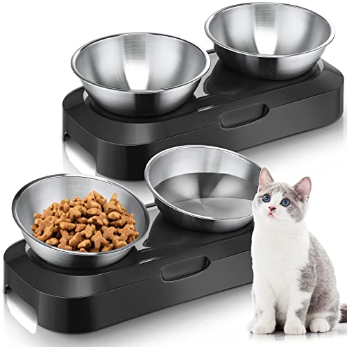  2 Pack Elevated Tilted Cat Bowls Stainless Steel Raised Cat Food And Water Bowl Set 0 And 15° Tilted Pet Cat Feeder Anti Vomit Cat Dishes With Stand For Indoor Cats Kitten Puppy Dogs