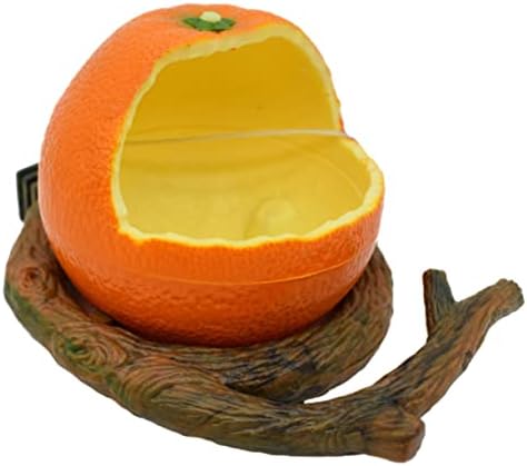  NOGRAX Box For Cups Orange Dispenser With Pet Decoration Cage Finches Feeding Bowl Hanging Fruit Lovely Adorable Canaries Budgie Water Design Parakeets Novelty Feeder Shaped Container Feeder