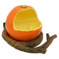  NOGRAX Box For Cups Orange Dispenser With Pet Decoration Cage Finches Feeding Bowl Hanging Fruit Lovely Adorable Canaries Budgie Water Design Parakeets Novelty Feeder Shaped Container Feeder