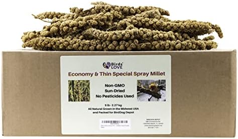 Birds LOVE Wholesome & Lovely Spray Millet Non-GMO No Pesticide (No Stems Only Edible Tops) For Parrots Birds Cockatiel Lovebird Keets Finch Canary All Parrots Healthy Treat-5lbs…