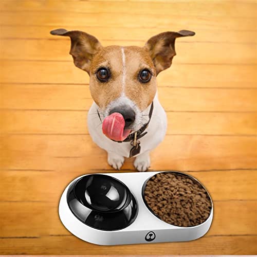  AYENCI Cat Automatic Water, Pet Double Dishes Bowl Dog Cat Feeder Environmentally Friendly Feeding Bowls For Food Dog Water Bottle Pet Products (Color : Double)