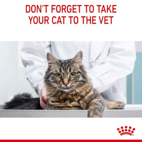  Royal Canin Feline Multipack Intense Beauty Cat Food In Jelly 12x85g (1.02kg)