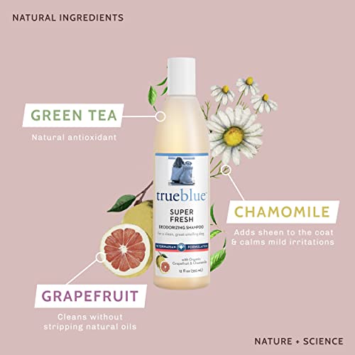  TrueBlue Grapefruit & Chamomile Deodorizing Dog Shampoo – Cleansing Wash, Moisturizing – Toxin Free, Natural Botanical Blend – Tearless – 12 Fl. Oz.