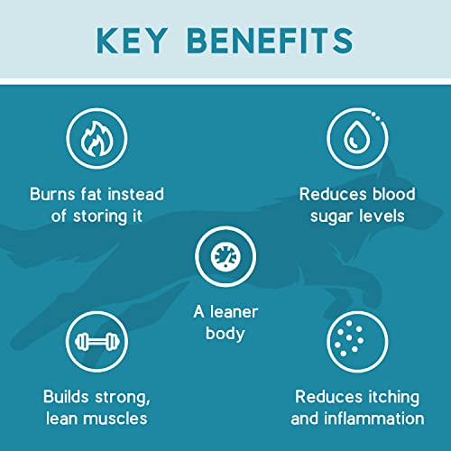  Ketona Chicken Recipe Adult Dry Dog Food, Natural, Low Carb (only 5%), High Protein (46%), Grain-Free, The Nutrition Of A Raw Diet With The Cost And Convenience Of A Kibble; 4.2lb