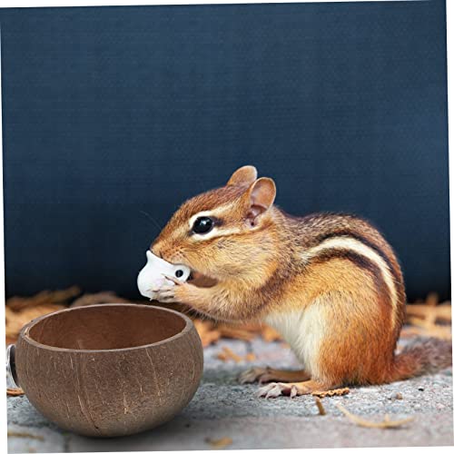  EVANEM 1 Set Hamster Nest Rabbit Water Bowl Squirrel Feeders Bird Cage Feeder Hamster Feeding Bowls Hamster Food Feeder Parrot Feeder Guinea Pig Cage Feeder Hamster Pet Feeder Pet Waterer