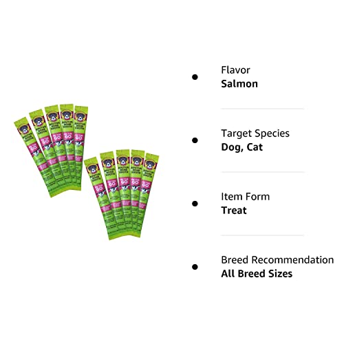  Brutus Instant Vegetable Broth For Dogs & Cats | Natural W/Omegas & Turmeric For Healthy Coat & Skin |Made In USA | Human Grade | Hydrating Dog Food Topper, Gravy, & Treat Vegan Salmon 10-pk