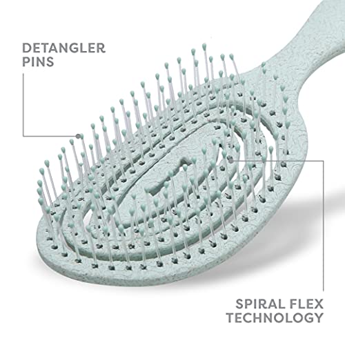  BioSilk Bundle Detangling Kit - Includes Silk Therapy Dog Detangling Shampoo, Detangling Conditioning Spray, And Pin Brush - Dog Grooming Kit, Detangling Brush, Dog Spray, Dog Shampoo