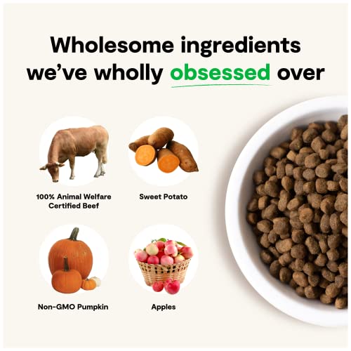  Open Farm Grass-Fed Beef Grain-Free Dry Dog Food, 100% Humanely Raised Wagyu Recipe With Non-GMO Superfoods And No Artificial Flavors Or Preservatives, 4 Lbs