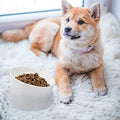  Pet Bowl Handmade Pet Bowl Ceramic Drinking Feeder Dog Dual- Use High Rise Bowl Non- Slip Food Container For Home Shop Pet Supplies (Grey)