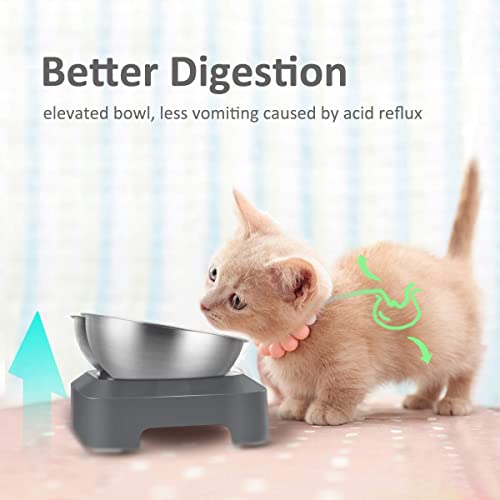  AYADA Raised Cat Food Bowl Set, Stainless Steel Cat Dish For Food Water Anti Vomiting Elevated With Stand Ergonomic Lifted Slanted Tilted 15 Angle Metal Double Kitty Kitten Wet Food Bowl 2 Pet Bowl