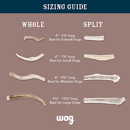  Amazon Brand - Wag Dog Elk Antler Chew, Naturally Shed, Whole, Medium 6-7.5 Inches (Best For Dogs 15-30 Lbs)