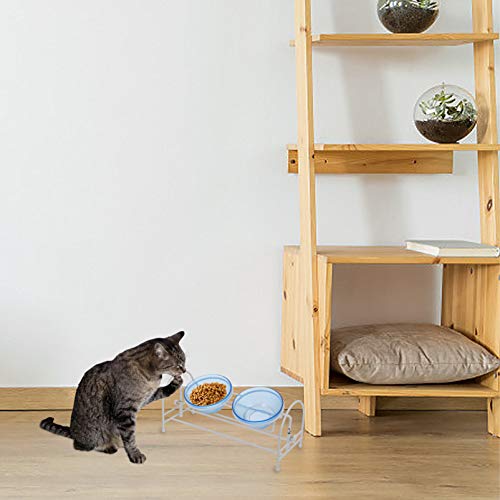 POPETPOP Puppy Water Bowl Double Cat Bowls With Iron Stand Glass Dog Bowls Raised Pet Bowls Food Water Dish Feeder No Spill Non-Skid For Puppy Kitten Glassine