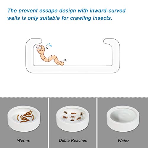  Ceramic Reptile Food And Water Bowl Set Of 3,Mini Reptile Feeding Dish,Worm Dish For Lizard Anoles Bearded Dragons(with Tweezer)