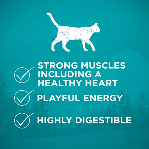  Purina ONE Natural, High Protein, Grain Free Dry Cat Food, True Instinct With Real Chicken - 14.4 Lb. Bag