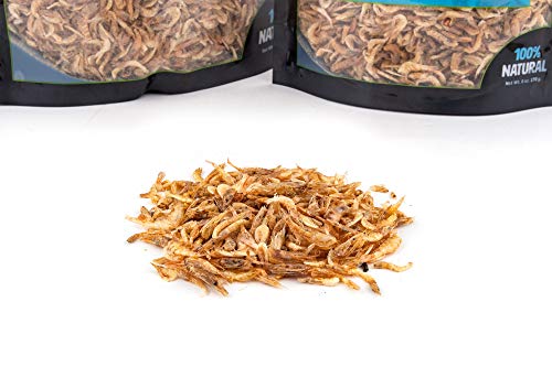  Fluker's Grub Bag Turtle Treat - River Shrimp, 12 Oz