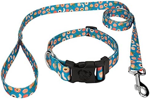  Country Brook Petz - Deluxe Scorching Peppers Dog Collar And Leash Limited Edition - Tasty Collection With 5 Yummy Designs (1/2 Inch, Extra Small)