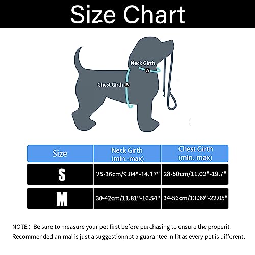  No Pull Dog Harness For Small Dogs Adjustable Pet Vest Harness With Leash Reflective Front Clip Vest With Handle Easy Control For Small Medium Large Dogs Cats Outdoor Walking Mexican Food Pattern Burr