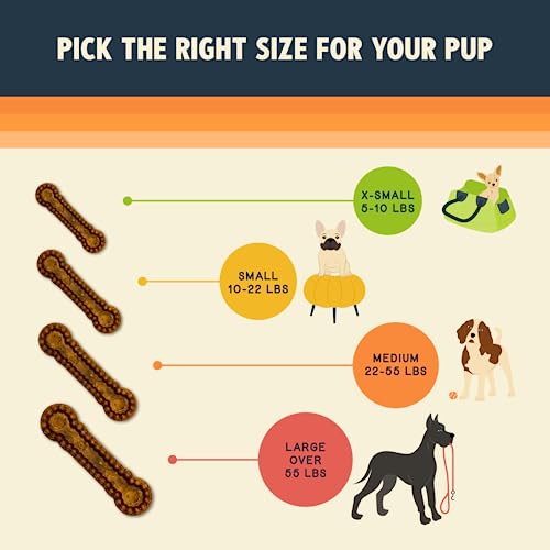  Jiminy's Dental Chews For Medium Sized Dogs – Cinnamon Dog Dental Chews, Teeth Cleaning Dog Treats, Reduce Tartar And Plaque, Made In USA, Cruelty Free, Dog Breath Freshener – 12 Chews