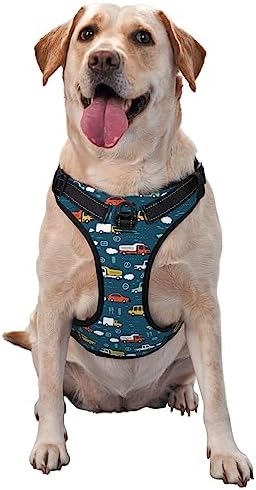  Cartoon Vegetable Food No Pull Dog Harness For Large Dogs No Pull Dog Leash, Adjustable Large Dog Harness Reflective Dog Vest Harness, Easy Walk Dog Harness For Medium Dogs No Pull Pet Harness