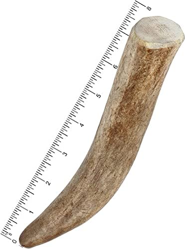  Mighty Paw Elk Antlers For Dogs | Medium Size 6" Premium Deer Antlers For Dogs, Pets And Puppies. Long Lasting Deer Antler Dog Chew For Aggressive Chewers. Dog Antler Chews For Large And XL Dog (2pk)