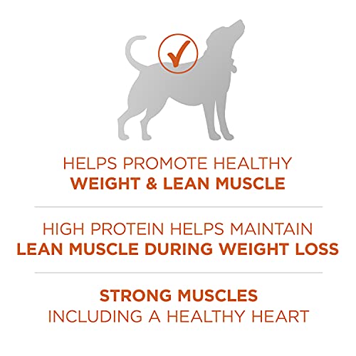  Purina ONE Plus Healthy Weight High-Protein Dog Food Dry Formula - 8 Lb. Bag