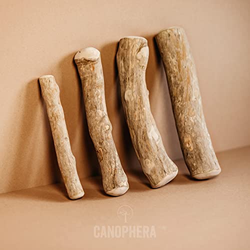  Canophera Coffee Wood Dog Chew Sticks For Regular Chewers - Size Small