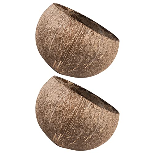  NOGRAX Rabbit Toy 6 Pcs Small Animals Small Animals Feeding Bowls Hamster Feeder Hamster Cage Bowls Feeder Shell Rabbit Toys Feeder (Color : As Shownx2pcs, Size : 11.5X11.5X8CMx2pcs)